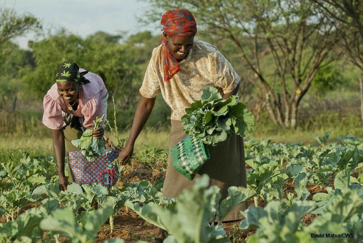 Services Communautaires